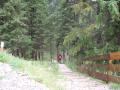 components/com_mambospgm/spgm/gal/Laufe 2006/Zwieselalm 06/_thb_P1010008.JPG